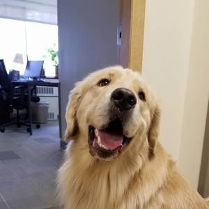 Meet your Posher, Karen